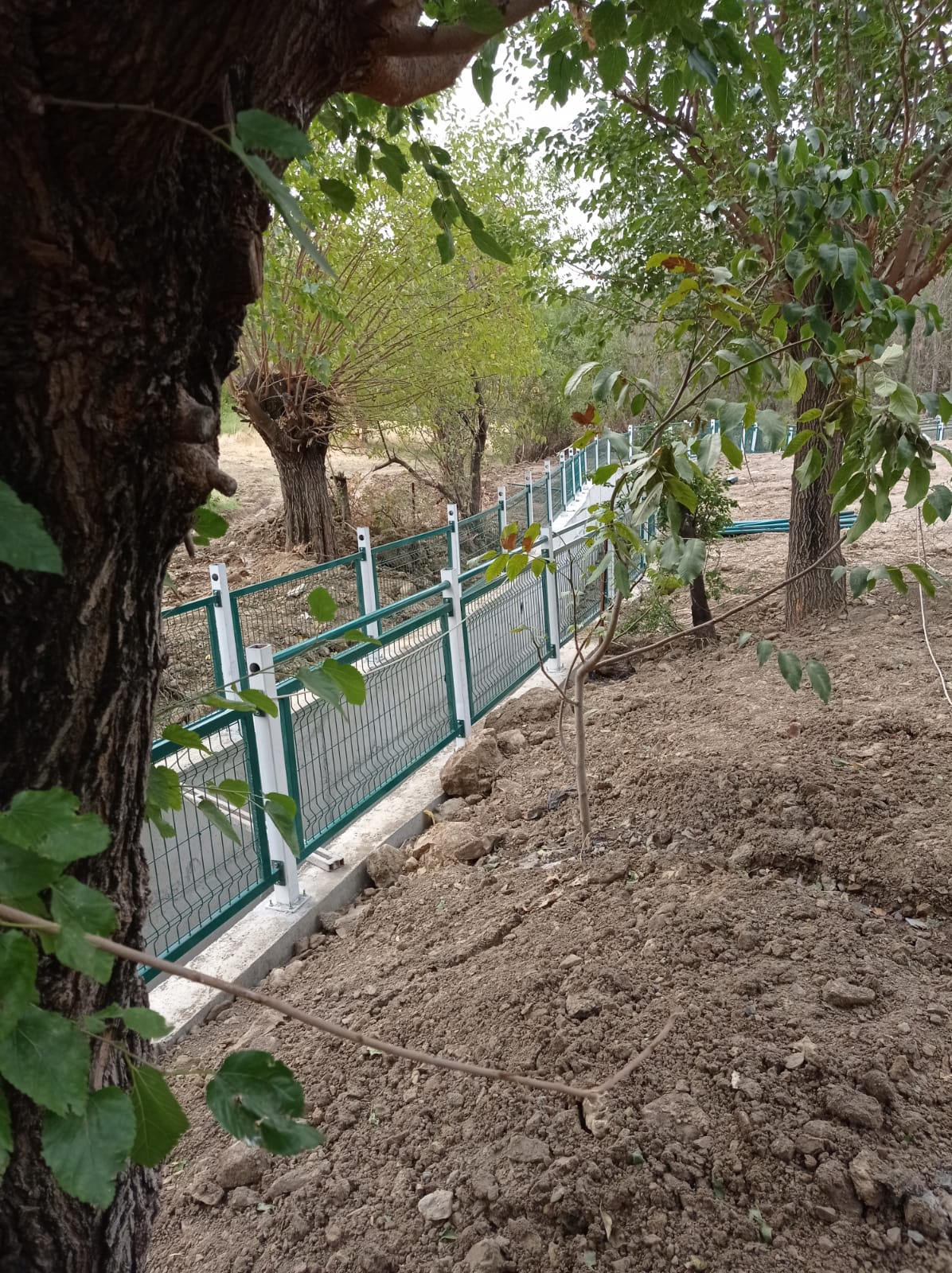 Fotoğraf 8
